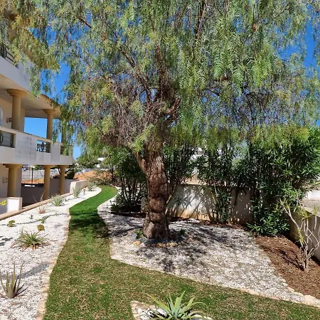 Primavera بورتيماو